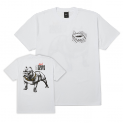 HUF T-SHIRT 4 THE DAWGS SS...