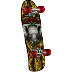 POWELL COMPLETE CRUISER...