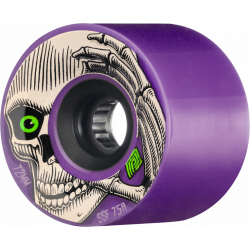 POWELL PERALTA WHEELS (JEU...