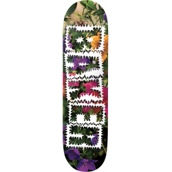 Planche Skate Baker Deck Library Card AR 8.0