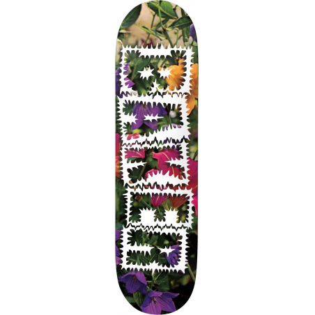 Planche Skate Baker Deck Library Card AR 8.0