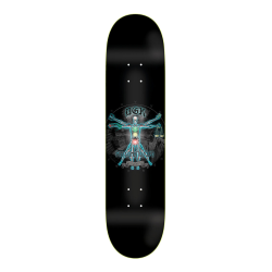 Planche de Skate DGK TX Mystic 8.1
