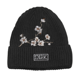 Bonnet Accessoire de Skate DGK Zion Black