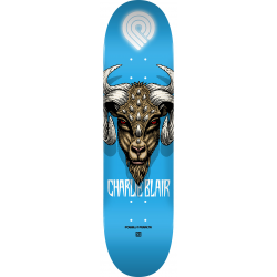 POWELL PERALTA DECK PS...