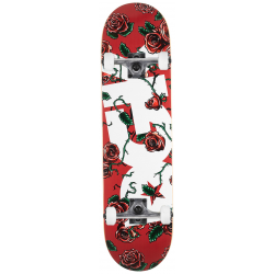 DGK COMPLETE 8.25 BLOOM