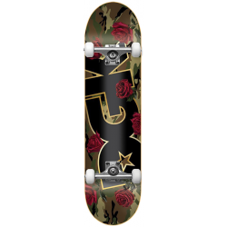 DGK COMPLETE 8.25 ROMANCE