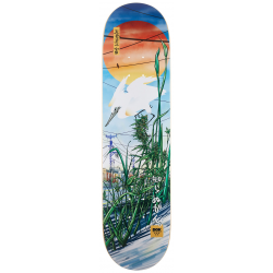 DGK DECK PROSPERITY VAUGHN 8.0