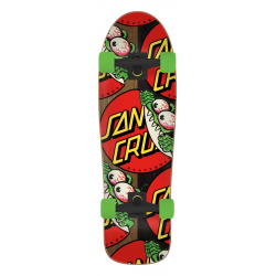 SANTA CRUZ COMPLETE CRUISER...