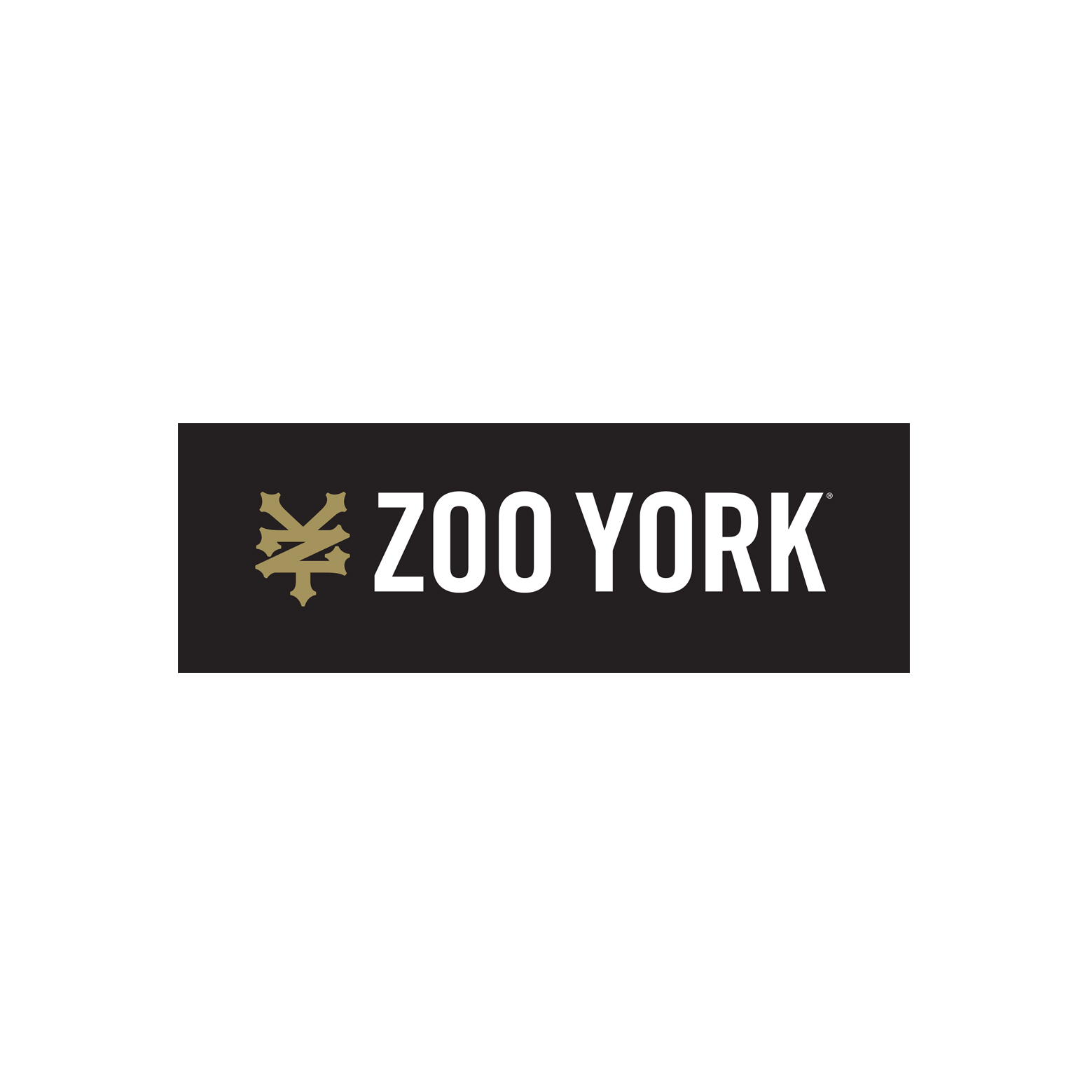 ZOO YORK